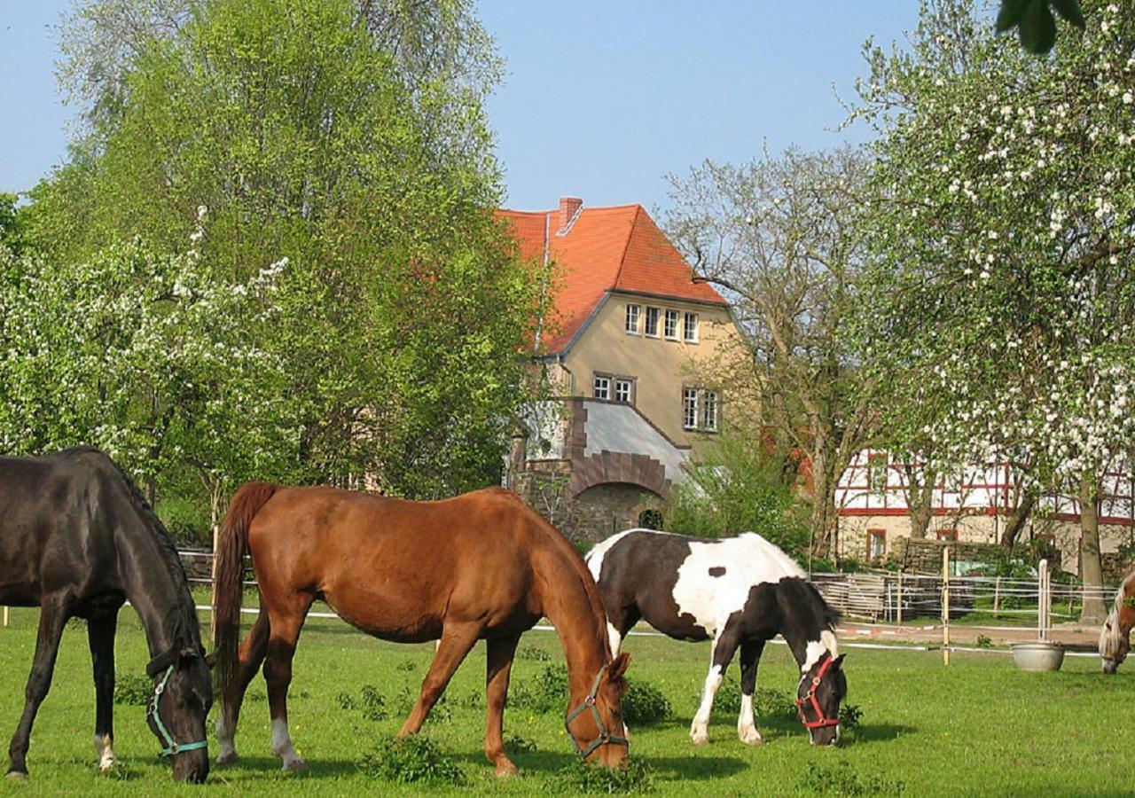 Apartament Gutshaus Von Bismarck An der Schmucke Zewnętrze zdjęcie